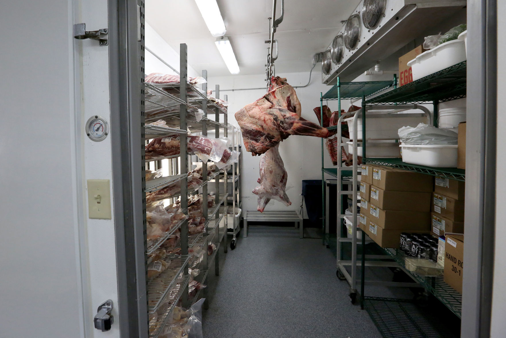 CONSCIOUS CARNIVORE